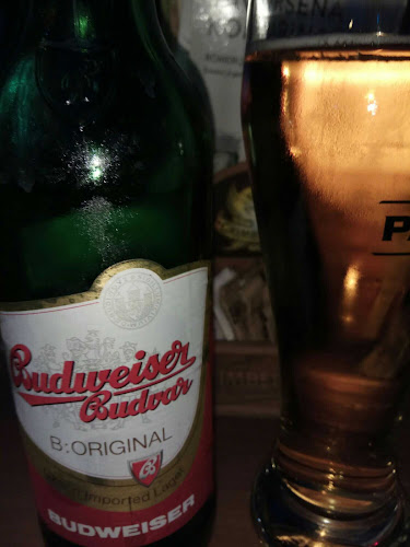 Buzz Bar - Gastronomija i ugostiteljstvo