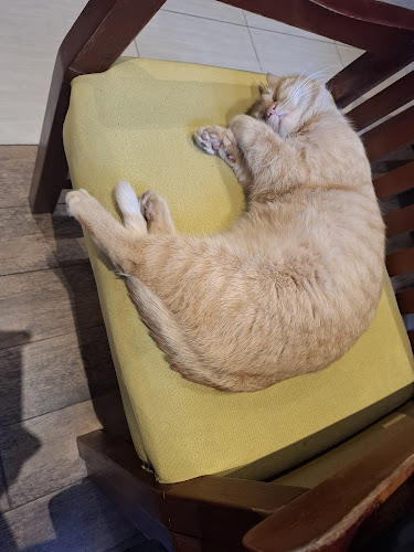 Opinii despre Caffe Bar Nostalgija în Vinkovci - Gastronomija i ugostiteljstvo