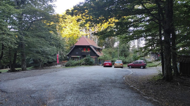 Comentarii opinii despre Planinarski dom Grafičar / Malo Sljeme d.o.o.