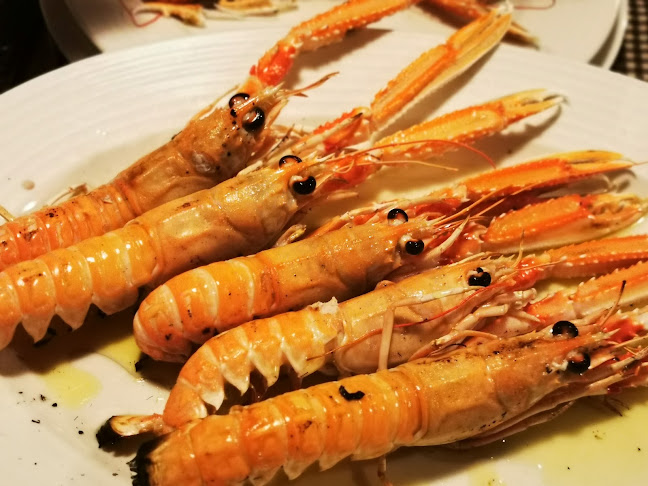 Comentarii opinii despre Konoba Dida