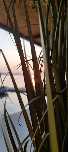 Opinii despre Pablo caffe beach bar în Biograd na Moru - Gastronomija i ugostiteljstvo