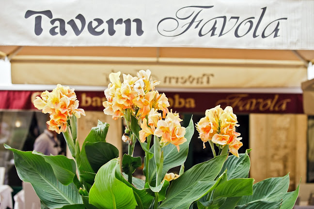 Opinii despre Konoba Favola în Split - Gastronomija i ugostiteljstvo