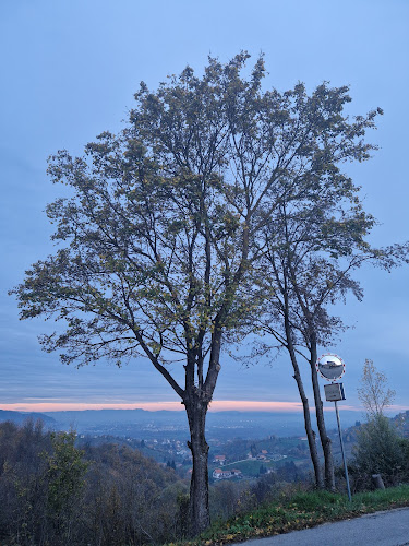 Izletište Milečki - Molvice