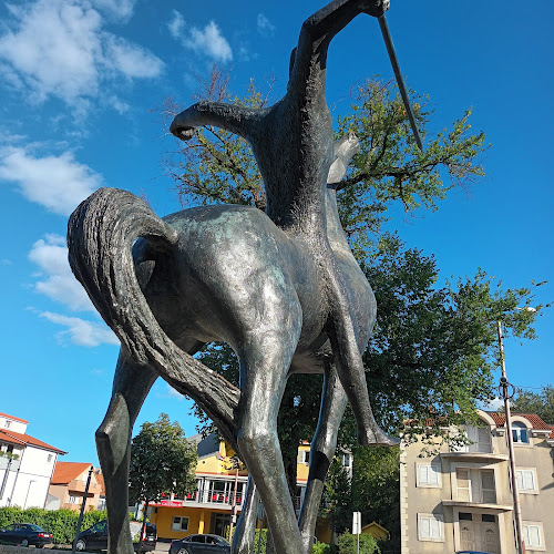 Splitska ul. 49, 21230, Sinj