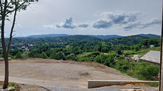 Comentarii opinii despre Restoran Izletište OPG Polovanec