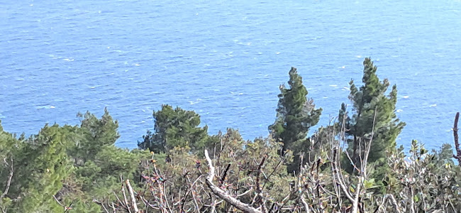 Opinii despre Restaurant Premantura Resort în Premantura - Gastronomija i ugostiteljstvo