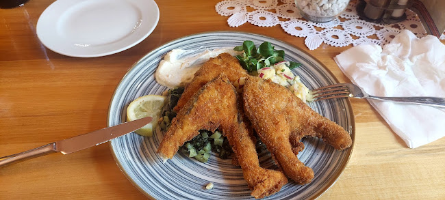 Comentarii opinii despre Aquarius Bošnjaci