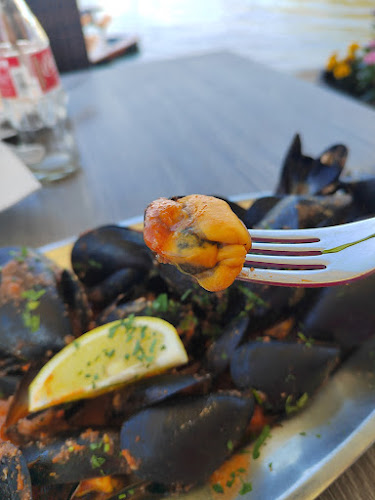 Restaurant Delfin - Gastronomija i ugostiteljstvo