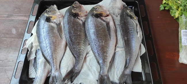 Opinii despre Ribarnica Rab în Palit - Gastronomija i ugostiteljstvo