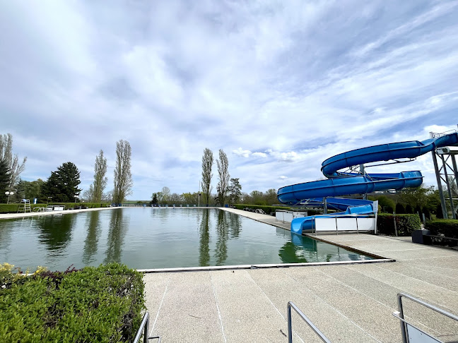 Panon - Gastronomija i ugostiteljstvo