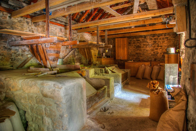 Antoničin mlin - Gastronomija i ugostiteljstvo