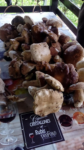 Ul. Matije Gupca 1, 10380, Sveti Ivan Zelina