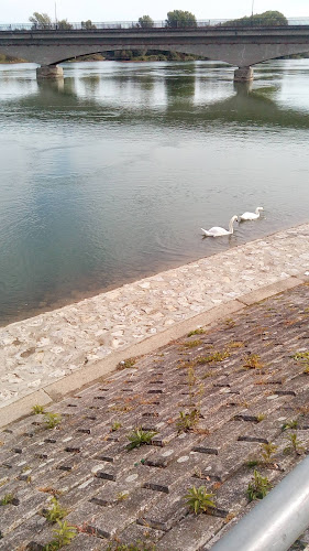 Comentarii opinii despre Bumbar