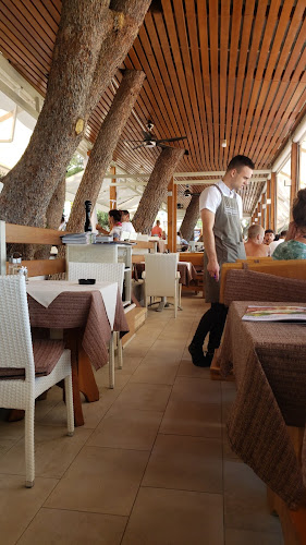 Comentarii opinii despre Restaurant Berlin