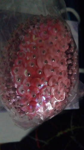 Ul. Jurja Dobrile 10, 10410, Velika Gorica