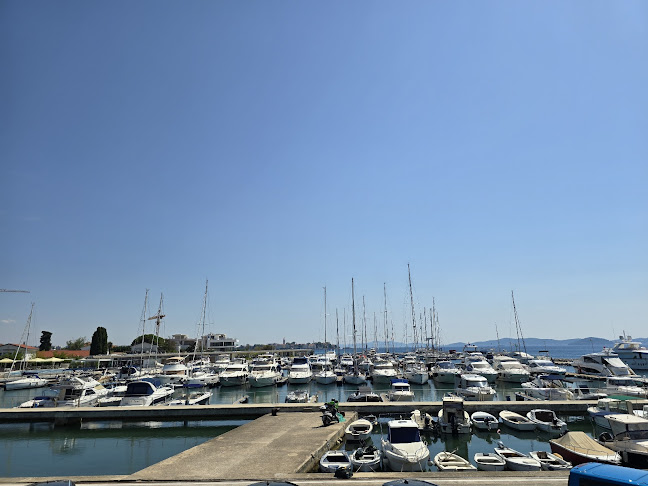 Antinov Restaurant - Gastronomija i ugostiteljstvo