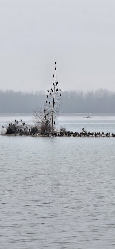 Caffe bar & bistro Marina - Prelog