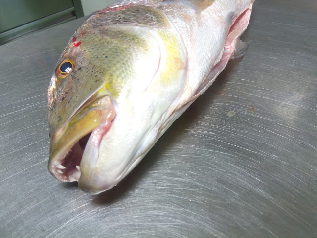 Comentarii opinii despre Kod Barba Luke