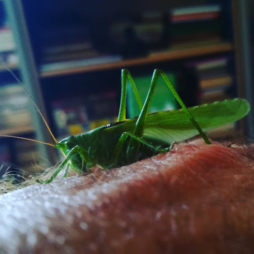 Opinii despre Caffe bar în Podgora Krapinska - Gastronomija i ugostiteljstvo