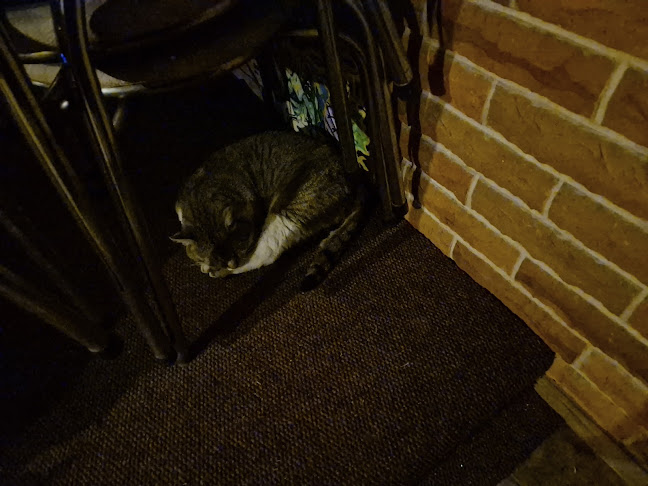 Opinii despre CAFFE BAR Beer ti & ja în Požega - Gastronomija i ugostiteljstvo