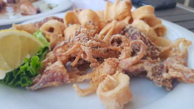 dajla,belveder 51, 52466, Novigrad