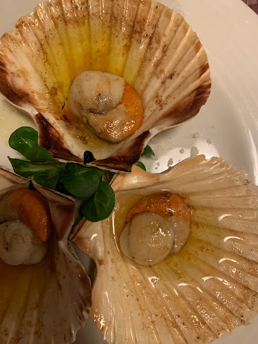 Opinii despre Konoba Dida în Zagreb - Gastronomija i ugostiteljstvo