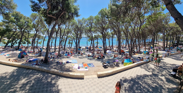 Queen Bar - Gastronomija i ugostiteljstvo