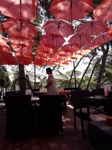 Queen Bar - Gastronomija i ugostiteljstvo