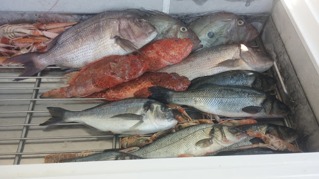 Modrave 5, 22243, Betina