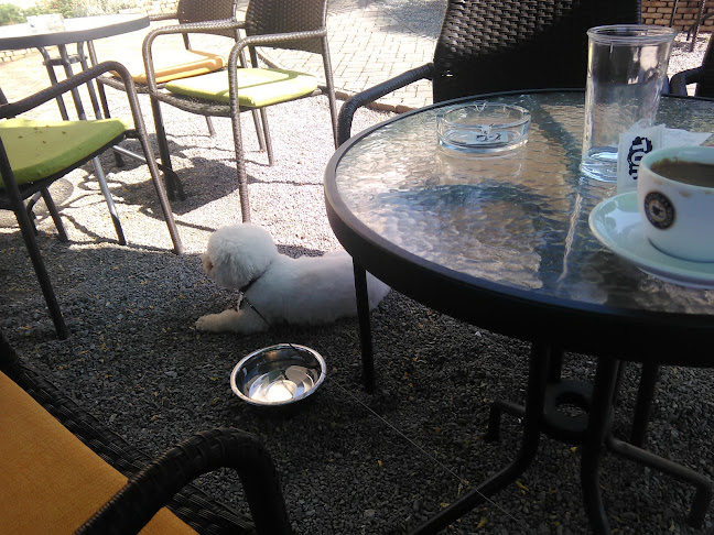 Podpinjol 43, 51000, Rijeka