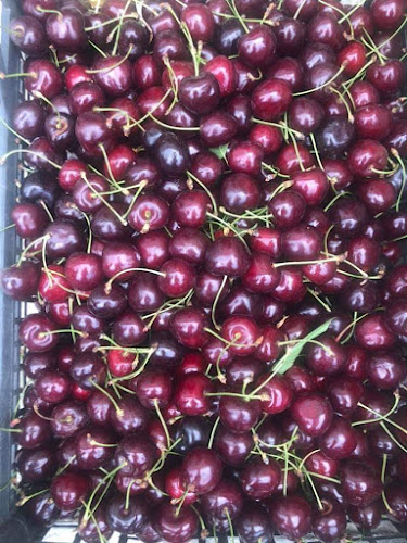 Pekara Riki - Gastronomija i ugostiteljstvo