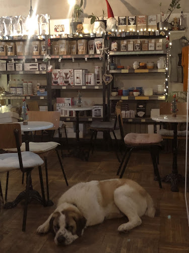 Comentarii opinii despre Kavantura