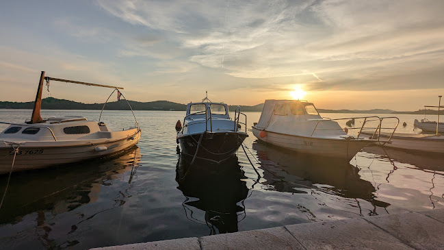 Comentarii opinii despre Archie