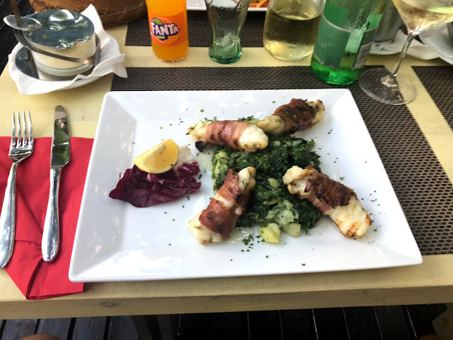 Antika Zaton - Zaton