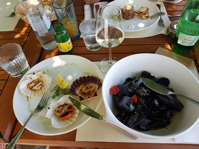 Ostaria Veranda - Gastronomija i ugostiteljstvo
