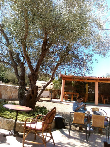 Caffe bar Smokva - Gastronomija i ugostiteljstvo