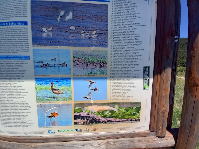 Kolodvorska ul. 137, 10410, Velika Gorica