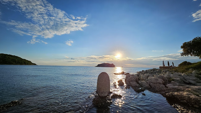 Comentarii opinii despre Orlandin