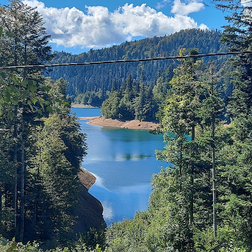 Comentarii opinii despre Restoran Eva