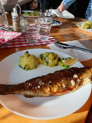 Comentarii opinii despre Kod Bakija