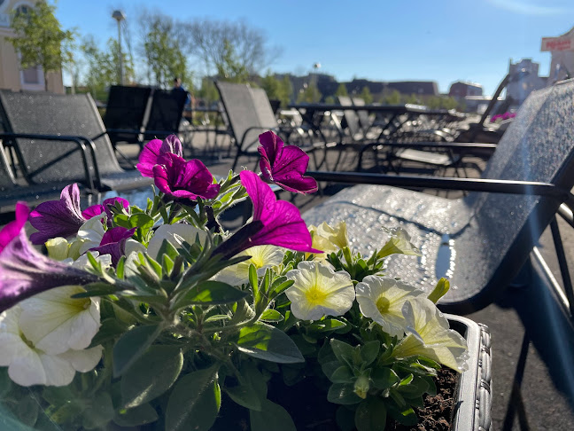 Opinii despre Park în Virovitica - Gastronomija i ugostiteljstvo