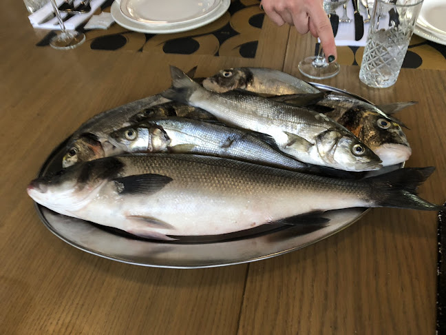 Opinii despre Restaurant Roko în Zadar - Gastronomija i ugostiteljstvo