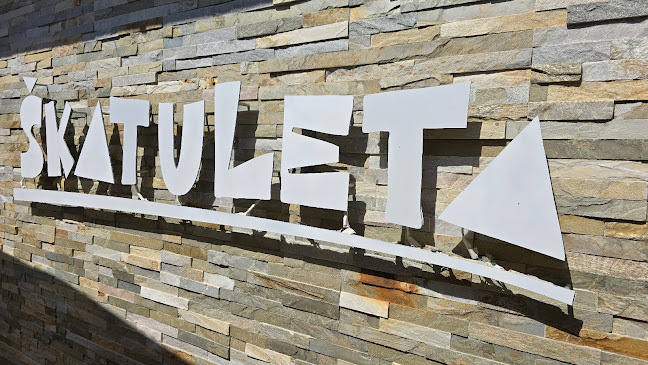 Comentarii opinii despre Skatuleta