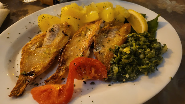 bistro - pizzeria ORHIDEJA - Gastronomija i ugostiteljstvo