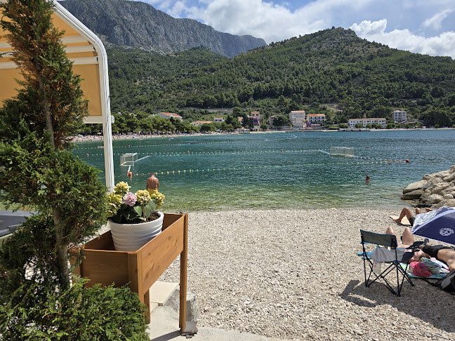 Konoba Jelaš - Gastronomija i ugostiteljstvo