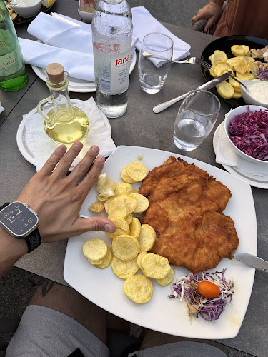 Comentarii opinii despre Restoran Vilinske jame