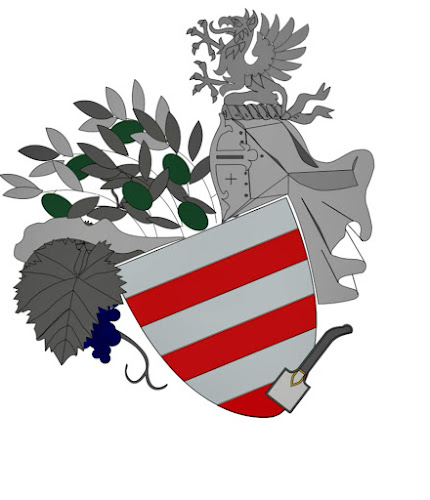 Ul. Petra Flega 5, 52420, Buzet