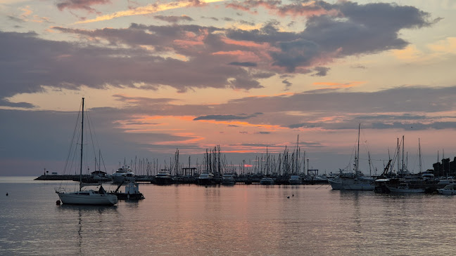 Comentarii opinii despre Lado