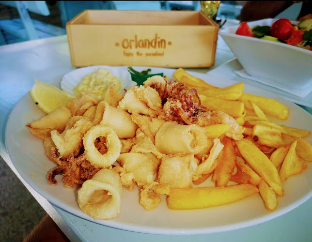 Comentarii opinii despre Orlandin