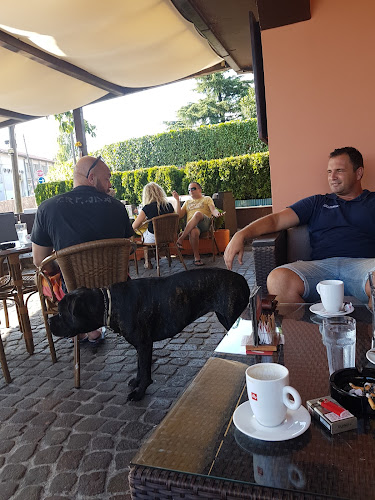 Comentarii opinii despre KUChA bar